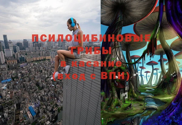 индика Богородицк